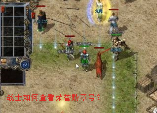 战士如何查看荣誉勋章号? 战士如何查看荣誉勋章号?