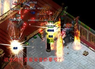 战士如何查看荣誉勋章号? 战士如何查看荣誉勋章号?