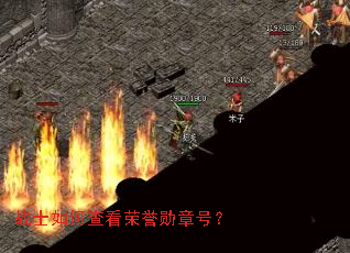 战士如何查看荣誉勋章号? 战士如何查看荣誉勋章号?