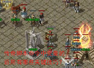 传奇脚本命令中变量的运用有哪些关键技巧? 传奇脚本命令中变量的运用有哪些关键技巧?