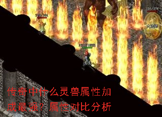 传奇中什么灵兽属性加成最强?属性对比分析 传奇中什么灵兽属性加成最强?属性对比分析