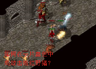 如何在一片血色中高效击败红野猪? 如何在一片血色中高效击败红野猪?