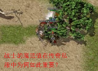 战士的魔法值在传奇私服中为何如此重要? 战士的魔法值在传奇私服中为何如此重要?