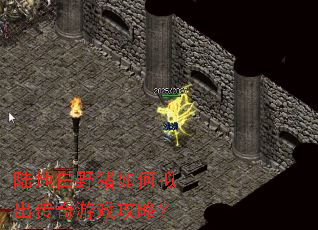 陆地白野猪如何拟出传奇游戏攻略? 陆地白野猪如何拟出传奇游戏攻略?