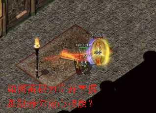 如何蓄积力量并掌握跳跳蜂你放心技能? 如何蓄积力量并掌握跳跳蜂你放心技能?