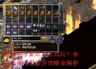 武林绝学新玩法怎么玩?合击私服今日新开攻略全解析 武林绝学新玩法怎么玩?合击私服今日新开攻略全解析