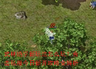 武林绝学新玩法怎么玩?合击私服今日新开攻略全解析 武林绝学新玩法怎么玩?合击私服今日新开攻略全解析