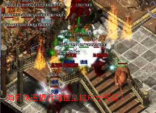 ��ο���������Ѫ�ʳǽ�ɫ�ȼ���