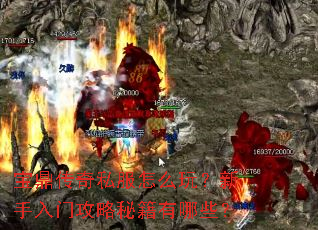 ��������˽����ô�棿�������Ź����ؼ�����Щ��