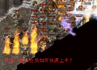 ����SF������Ա��ο������֣�