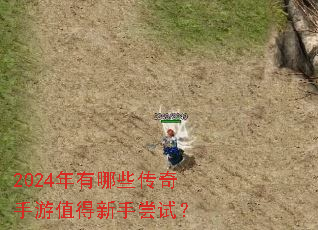 2024������Щ��������ֵ�����ֳ��ԣ�