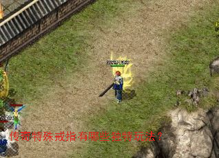 ���������ָ����Щ�����淨��