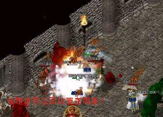 ��������ׯ԰λ�������