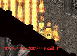 ��ο�������ѫ�»�ø������ԣ�