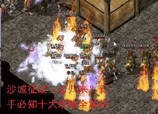 ɳ����ս���߹��������ֱ�֪ʮ����ȫ����