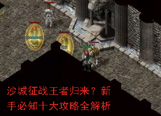 ɳ����ս���߹��������ֱ�֪ʮ����ȫ����