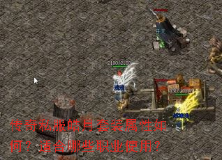 ����˽�������װ������Σ��ʺ���Щְҵʹ�ã�