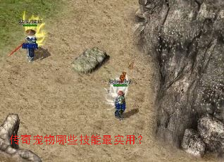 ���������Щ������ʵ�ã�