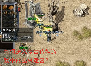 ��ν��븴�Ŵ�����Ϸ�еĴ����Թ���