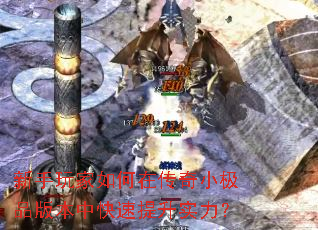 新手玩家如何在传奇小极品版本中快速提升实力? 新手玩家如何在传奇小极品版本中快速提升实力?