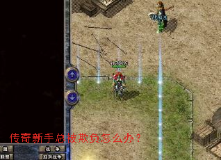 ���������ܱ��۸���ô�죿