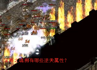 ��˹֮��ӵ����Щ�������ԣ�