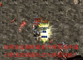 ���ȫ��������´���˽���е�ʿְҵ�������淨���ռ����ܣ�