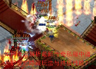 ���ȫ��������´���˽���е�ʿְҵ�������淨���ռ����ܣ�