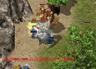 打赤月boss必须要有战士配合吗? 打赤月boss必须要有战士配合吗?