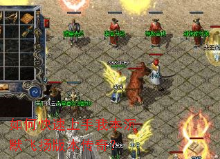 ��ο��������ұ���Ĭ����汾���棿