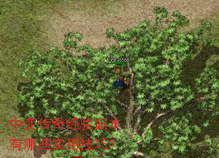 中变传奇经验副本有哪些实用技巧? 中变传奇经验副本有哪些实用技巧?