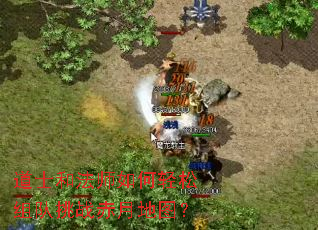 ��ʿ�ͷ�ʦ������������ս���µ�ͼ��