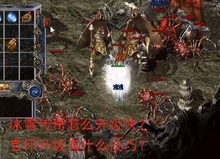 ��ѩ������ô�����죿��ӡ������ʲô���ɣ�