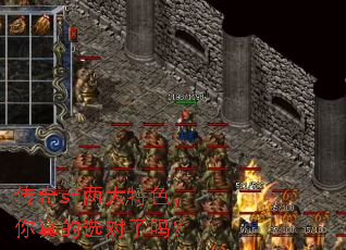 ����sf������ɫ�������ѡ������