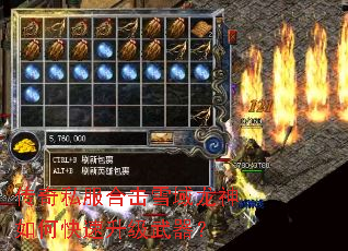 ����˽���ϻ�ѩ��������ο�������������