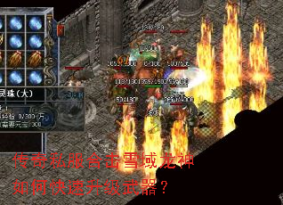 ����˽���ϻ�ѩ��������ο�������������