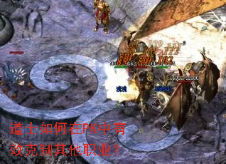 ��ʿ�����PK����Ч��������ְҵ��