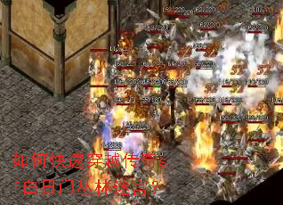 ��ο��ٴ�Խ����sf�����Ŵ����Թ���