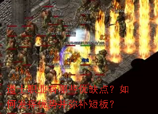 ��ʿְҵ����Щ��ȱ�㣿��η������Ʋ��ֲ��̰壿