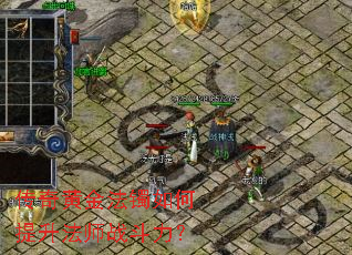 ����ƽ������������ʦս������