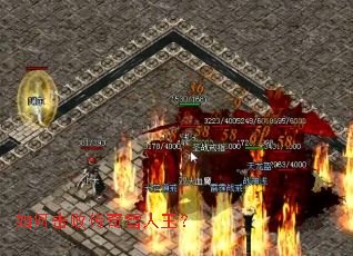 ��λ��ܴ���ѩ������