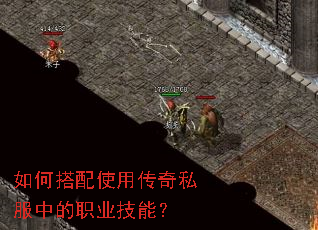 ��δ���ʹ�ô���˽���е�ְҵ���ܣ�