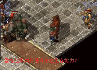 ѩ˪�������������ɫ����������