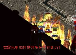 ѩ˪�������������ɫ����������