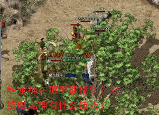 ���������������ҵ����Կ���������ʲô���ɣ�