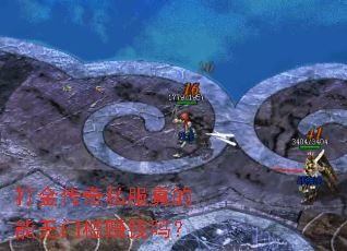 �����˽����������ż�׬Ǯ��