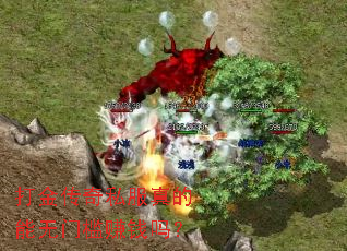 �����˽����������ż�׬Ǯ��