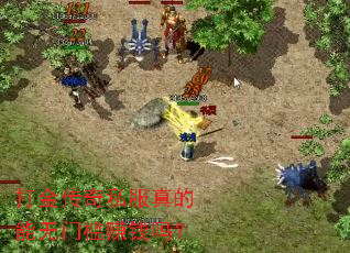 �����˽����������ż�׬Ǯ��