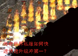 ��������˽����ο��ٿ����������һ��