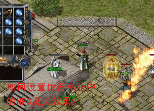 ������ô���˽���е�NPCħ��Ч����